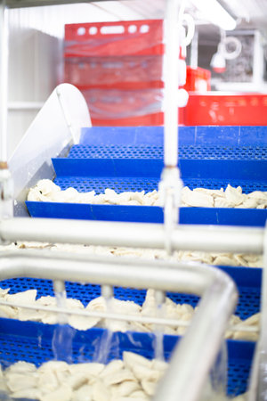 Production line, dumpling machine in a food factory.