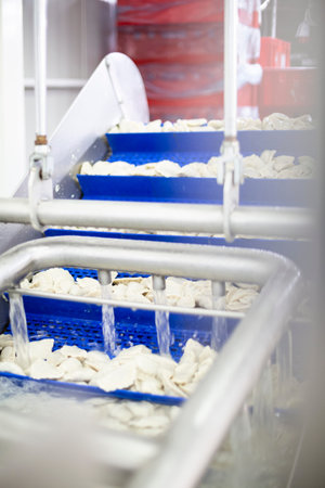 Production line, dumpling machine in a food factory.