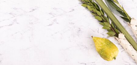 Composition of Jewish Sukkot festival symbols. The set of four species: etrog, palm frond, myrtle and willow twigs on light, marble background. Horizontal banner with lulav and a text space.の写真素材