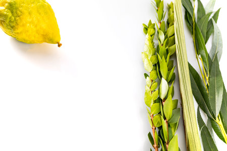 Composition of Jewish Sukkot festival symbols. The lulav - set of four species: etrog, palm frond,...