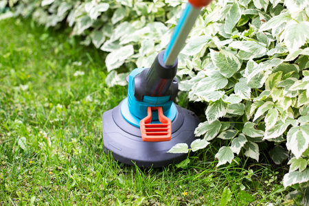 Horizontal view of cutting the lawn with cordless grass trimmer, edger, close-up on trimmer. Mowing grass in hard-to-reach places. Gardening, green works in a garden on a sunny day. Garden work.の写真素材