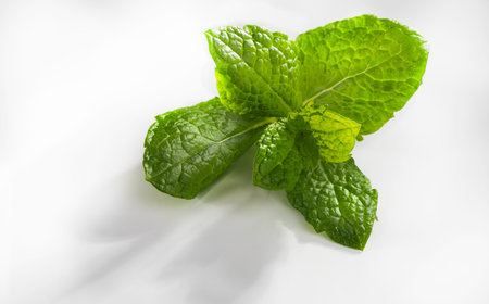 Green peppermint, spearmint leaves, isolated, close up. Sprig of mint, fresh herbs on a white...