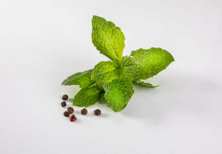 Green peppermint, spearmint leaves and black peppercorns, isolated. Sprig of mint, fresh herbs on a white background.の写真素材