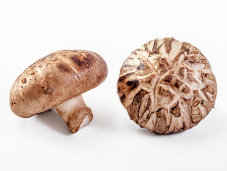 Fresh Shitake mushrooms on a white background