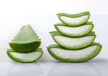Aloe Vera fresh leaf isolated on white backgroundの写真素材