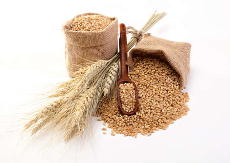 Wheat in sackcloth bags on the white background.の写真素材