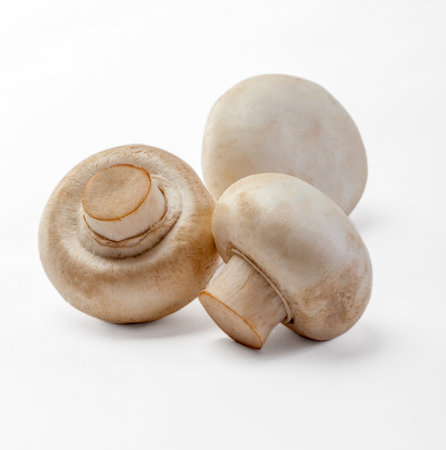 champignon mushroom on white backgroundの写真素材