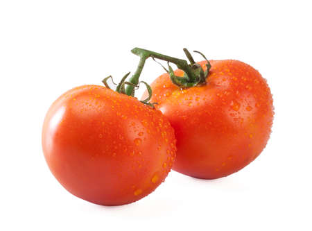 Fresh tomatoesの写真素材