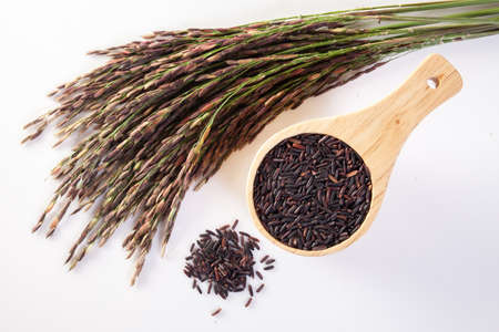 Riceberry organic foodの写真素材