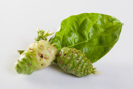 Noni fruit on white backgroundの写真素材