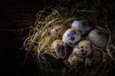 quail bird eggs in nest on rustic wooden background