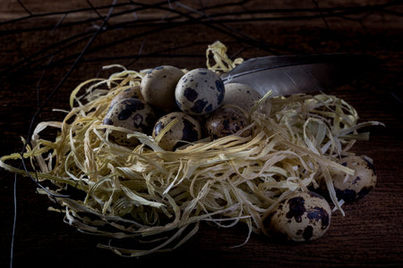 quail bird eggs in nest on rustic wooden background