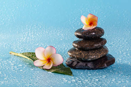 Spa stone pile with flowers and water drops on a blue backgroundの写真素材