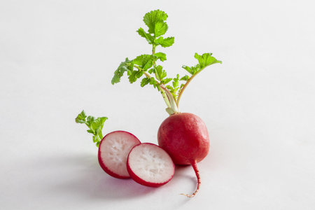 Cherry Belle Radish isolated on white background