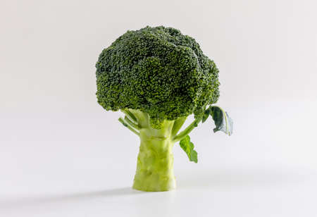 Fresh broccoli isolated on white backgroundの写真素材