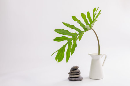 Interior image of white table with green plant over white wall