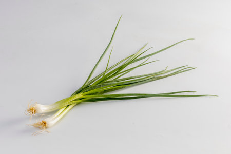 spring onion isolated on white backgroundの写真素材