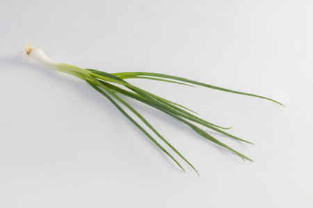 spring onion isolated on white backgroundの写真素材
