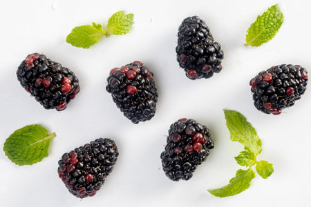 Blackberry and mint leaves on a white background