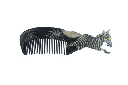 Black hairbrush zebra design isolated with white background.