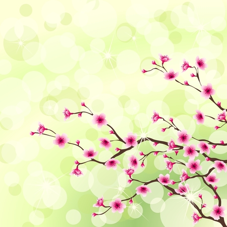 Blossoming cherry tree branches against a green background. Graphics are grouped and in several layers for easy editing. The file can be scaled to any size.のイラスト素材