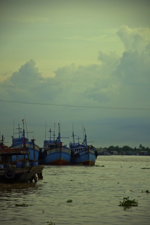 mekong delta vietnam のeditorial素材