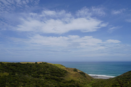 Arai te Uru Recreation Reserve panorama view over ocean and nature