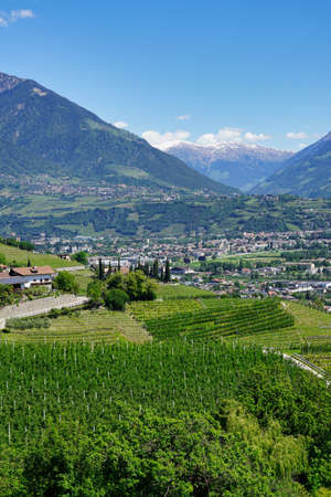 Merano and valley from above, mountainsの写真素材