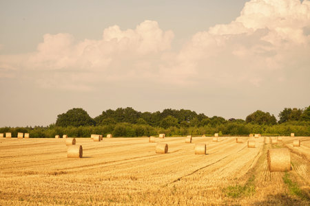 straw bales on field with trees in background, clouds in sky