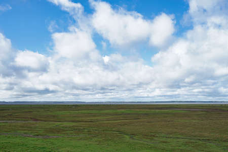Nyord Enge bird reservation, grassland with cloudy sky, Denmarkの写真素材