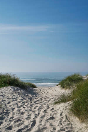 way to beach marram grass on dune with blue sky and ocean in backgroundの写真素材