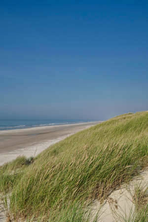 Henne beach with ocean, dune and horizon on sunny day, Denmark, Europeの写真素材