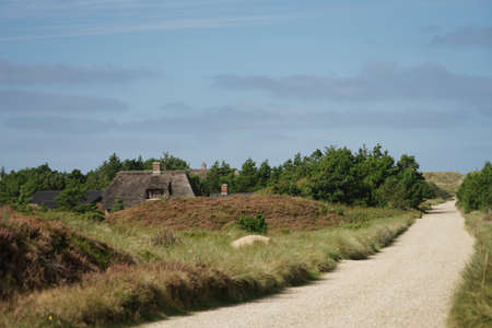 gravel road in Jutland, heather wilderness landscape on sunny day, house roofの写真素材
