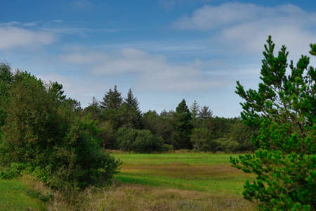 Jutland, wilderness landscape on sunny day with forestの写真素材