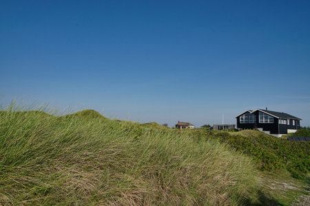 typical Danish rental home in grasyy dune land on sunny dayの写真素材
