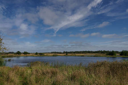lake in grassland of Jutland, Denmark on sunny day with blue skyの写真素材