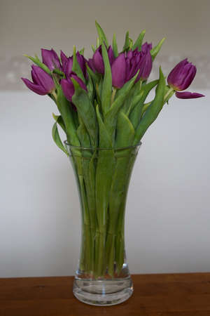 bouquet of purple tulips in vase on table with white and gray wall in backgroundの写真素材