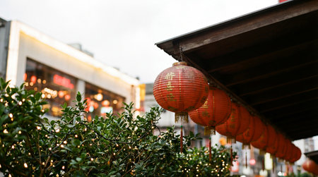 a view of red chinese lanterns hanging under a dark roof with foliage and lights in the foreground, creating a festive and cultural atmosphereの素材