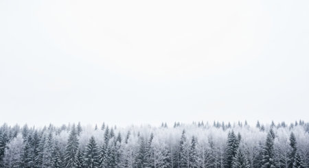 A serene winter forest scene with snow-laden trees stretching across the horizon under a bright, overcast sky.の素材