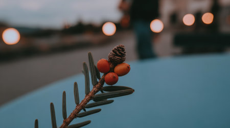 A detailed close-up shot of a small pine cone and red berries on a pine branch, with a blurred background of lights.の素材