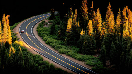 A solitary car travels on a winding asphalt road through a dense forest illuminated by the warm glow of sunset.の素材