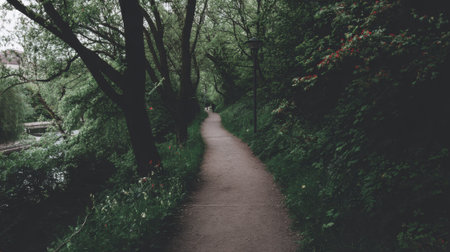 A narrow dirt trail curves through dense woodland with tall trees and vibrant green undergrowth creating a peaceful and inviting natural settingの素材