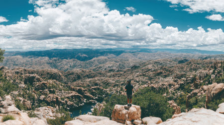 A lone figure stands on a rugged rock formation gazing at the vast canyon landscape with layered rock formations, sparse vegetation, and distant horizons under a clear blue sky with fluffy clouds.の素材