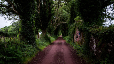 A narrow red dirt road winds through a dense canopy of ancient trees overgrown with ivy forming a natural green archway in verdant countrysideの素材