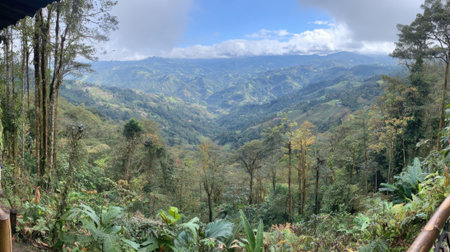 An expansive panoramic view from a high vantage point overlooking a deep valley filled with lush, green rolling hills and a dense tropical rainforest under a cloudy sky.の素材