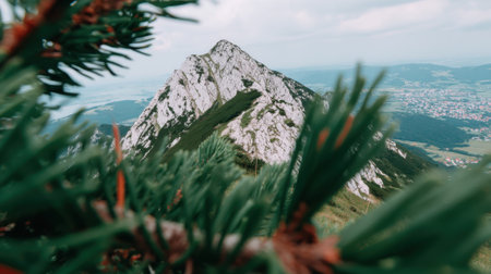 A scenic view of a rugged mountain summit framed by the soft focus of green pine tree needles in the foreground. A vast landscape unfolds in the background under a cloudy sky.の素材