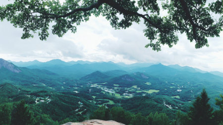 A breathtaking panoramic view of a lush green mountain range and a valley below on a cloudy day, framed by an overhanging tree branch.の素材