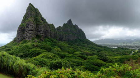 A stunning view of a rugged, verdant mountain range with sharp peaks under a dramatic, overcast sky. The lush, tropical jungle covers the entire landscape.の素材