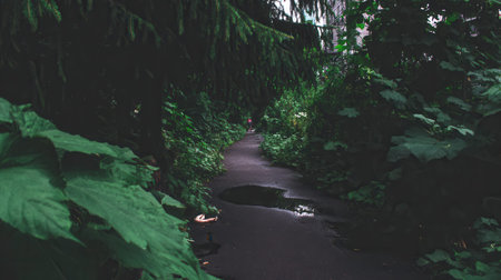 A low-light shot of a winding stone path disappearing into a dense, dark forest. Lush green leaves frame the scene, creating a mysterious and tranquil atmosphere.の素材