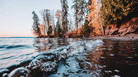 A low angle, close up view of water flowing over a frost covered log on a lakeshore. The background shows a forest of tall trees illuminated by the warm, golden light of a setting sun.の素材